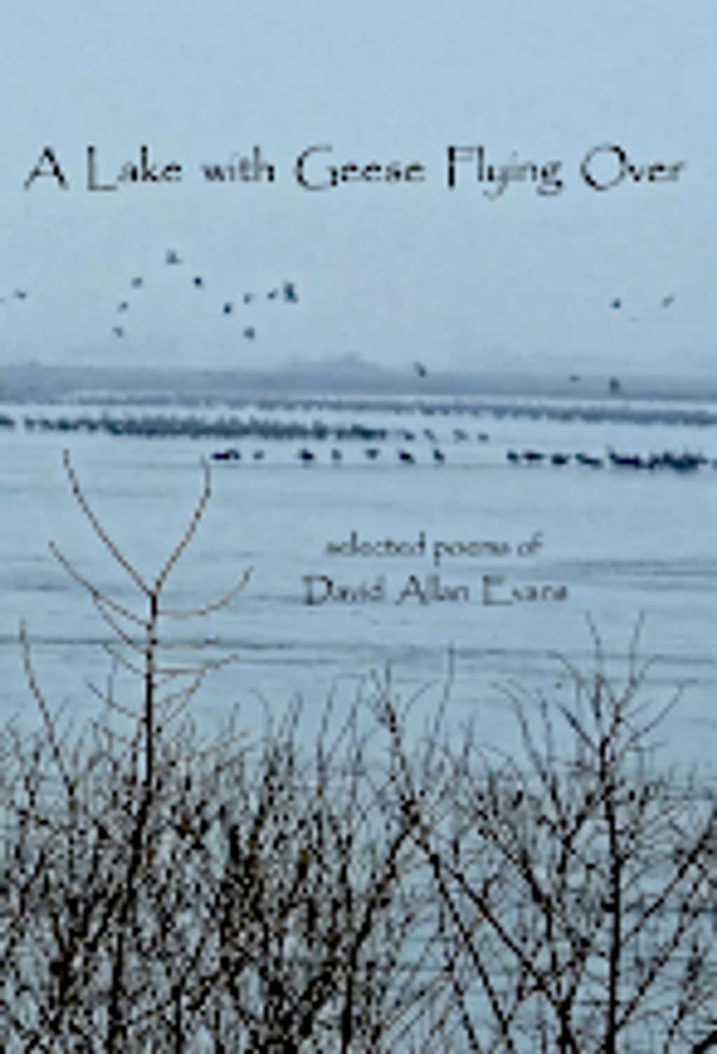 Lake scene with geese flying and sitting on water.