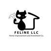Fix It Feline