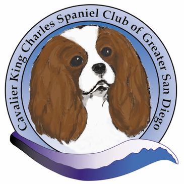 AKC Cavalier King Charles Spaniel Club Serving the Dallas and Fort Worth  Texas Aresa