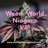 WEEDWORLDNIAGARAVIP.COM
