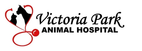 Victoria Park Animal Hospital 