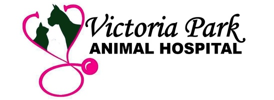 Victoria Park Animal Hospital 