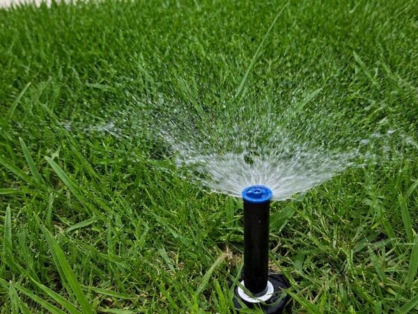 Rociador de césped regando el pasto verde.