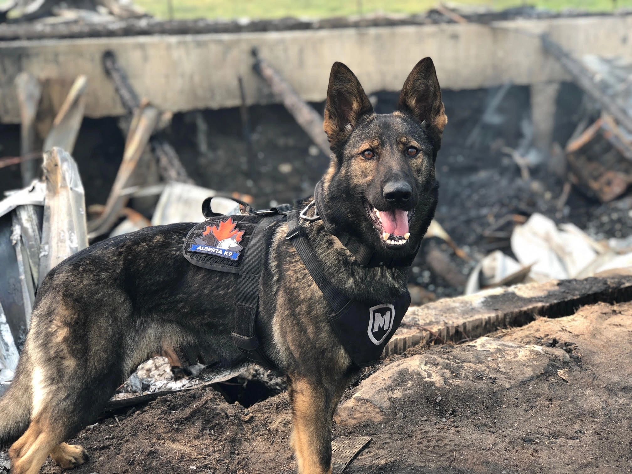 Clearwater Fire Forensics Inc. Fire Investigation, Vehicle Fire