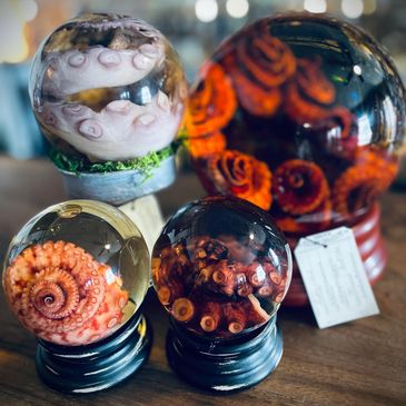 Wet specimen globes by Sleeping Sirens