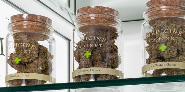 Cannabis The Medicine Cabinet 1/2 oz curing jars Coffeeshop classics Ultra Premium Cannabis