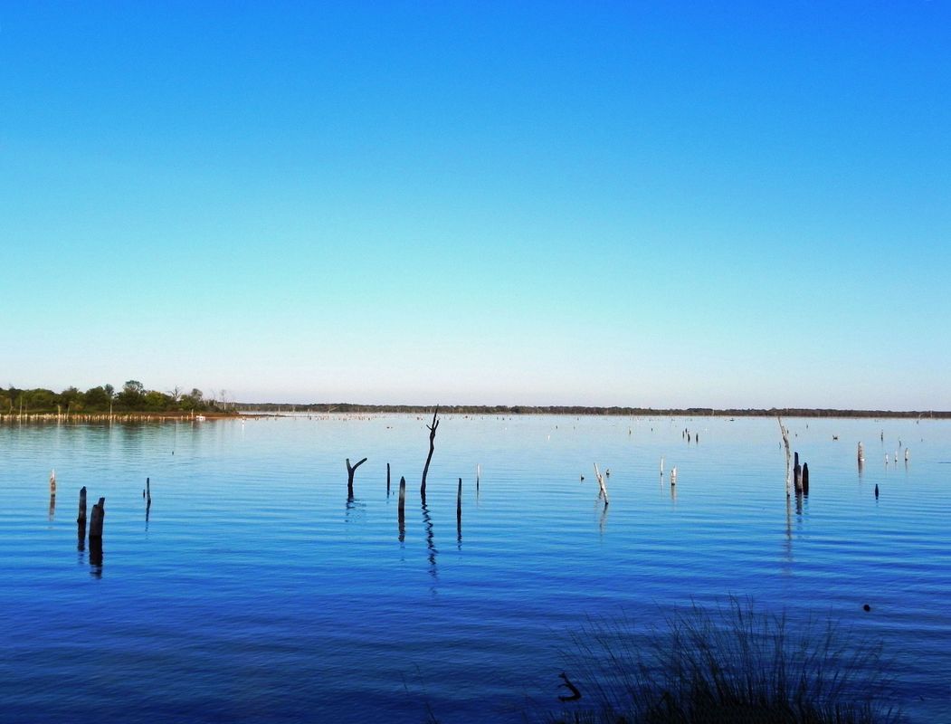 Fishin' Hole Lake Fork Lake Fork Fishin' Hole