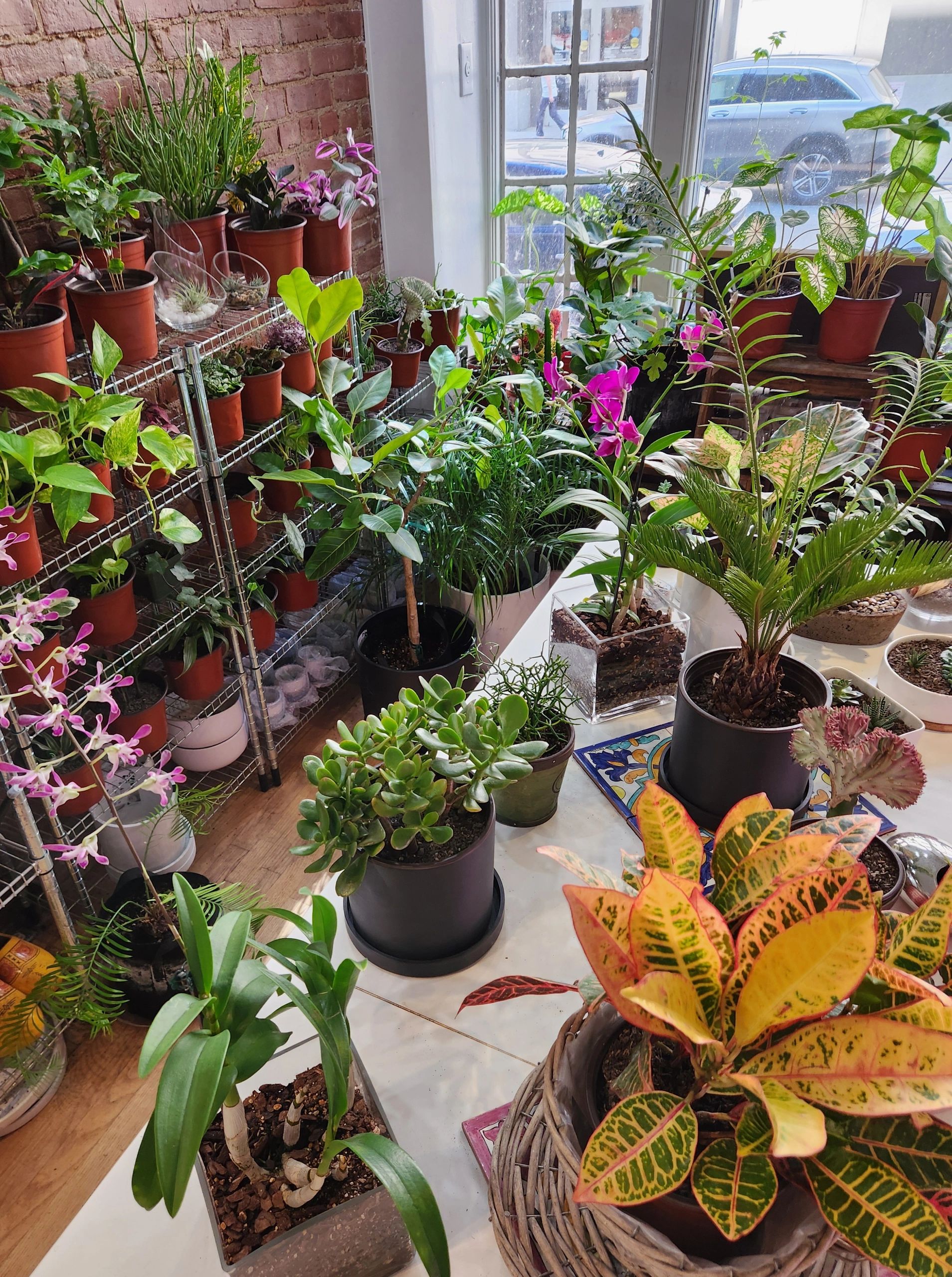 MyCityOasis - Plants, Zero Waste