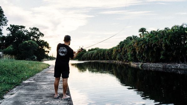 Casting a bait in the beautiful south Florida canal