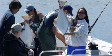 Halibut Salmon Sportfish - Alaska Charter Association