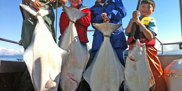 Halibut Salmon Sportfish - Alaska Charter Association