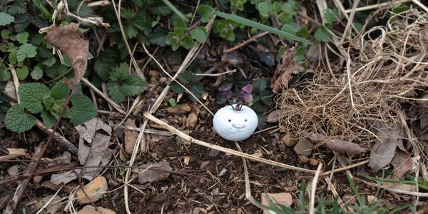small white clay pot creature on ground
