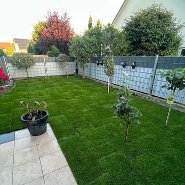 Gepflegter Garten mit Rollrasen.  Einladend für entspannte Momente im Freien.