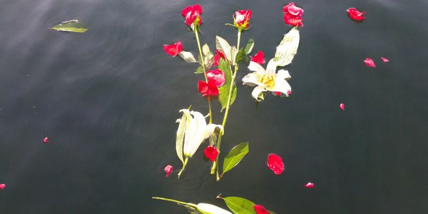 channel island boat tours ventura