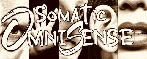 Somatic OmniSense