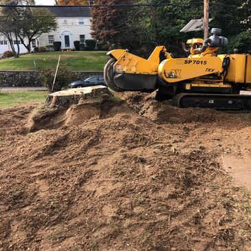
STUMP  GRINDING*
 Grinding is much more efficient than stump removal, however, it does leave the tr
