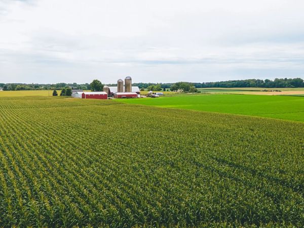Wide view of green fields and farmhouse
