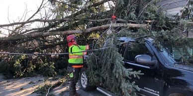 Hazardous Tree Removal