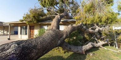 Emergency Storm Response
