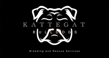 Kattegat Bulldogs