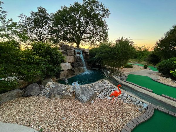 sun set on Mini Golf course, fishing, boating, water
putt putt
flamingo 