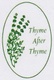 Thyme After Thyme