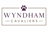 Wyndham Cavaliers