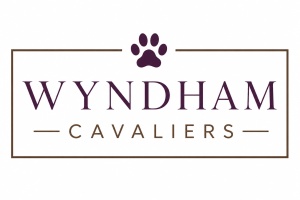 Wyndham Cavaliers