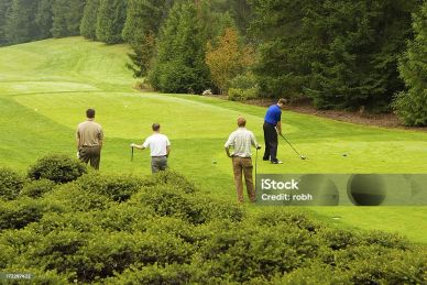 Group of men playing golf on a lush green course.