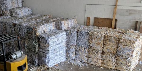 Shredded paper that will be recycled into toilet paper.