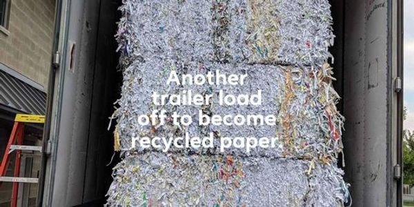 Shredded paper that will be recycled into toilet paper.