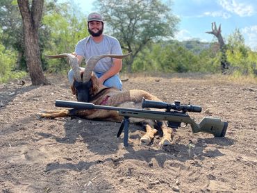 Hunter in field showing rifle and harvested 
Catalina Goat