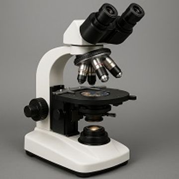 A modern compound microscope with multiple objective lenses.