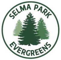 Selma Park Evergreens