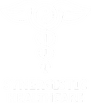 Synergistic Healthcare


