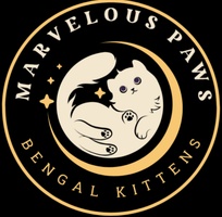 Marvelous Paws Bengal kittens