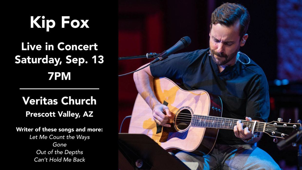Kip Fox live concert announcement with him playing guitar on stage.