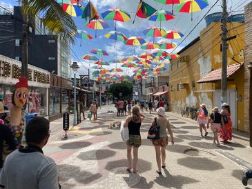 Paseo turístico en porto de galinhas