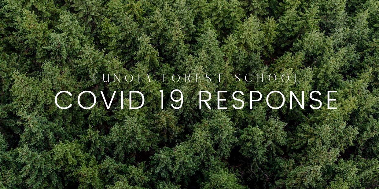 Top view of a forest with the words "Eunoia Forest School Covid 19 Response" written on top in white