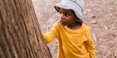 You boy in a hat and yellow shirt touching a tree while staring at it.