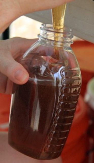 Honey being bottled