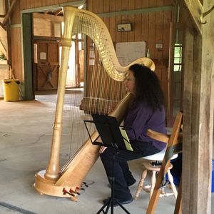 Horse and Harp