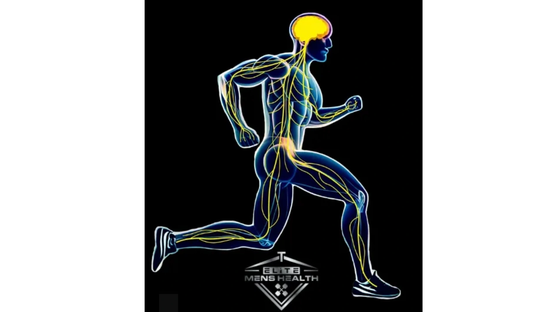 Elite Mens Health Testosterone Replacement Therapy, Trt