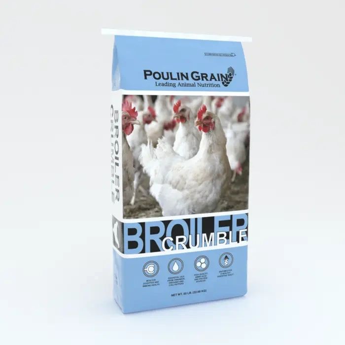 Bag0003.webp