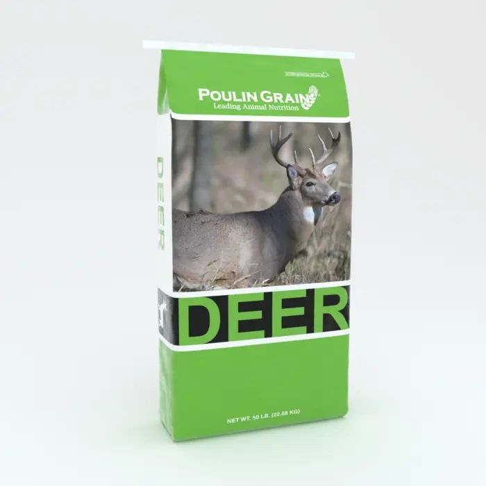 Bag0010.webp