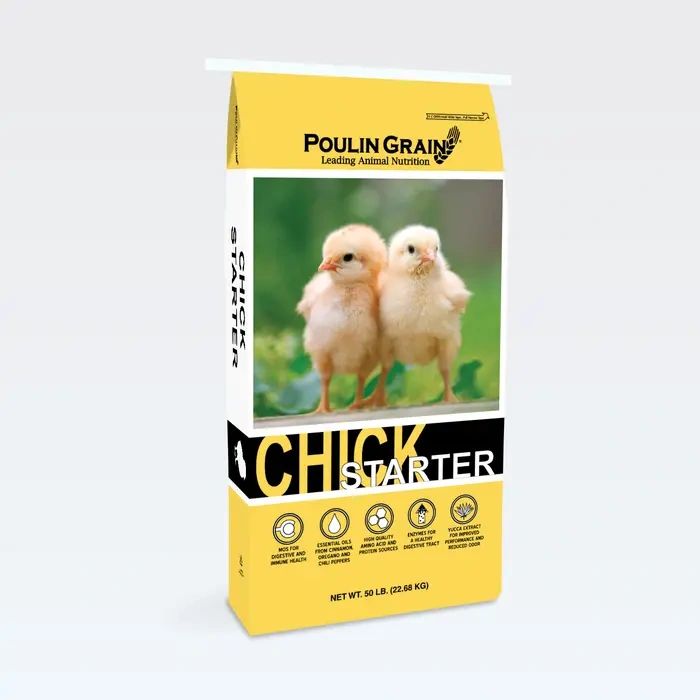 Chick Starter Opaque.webp