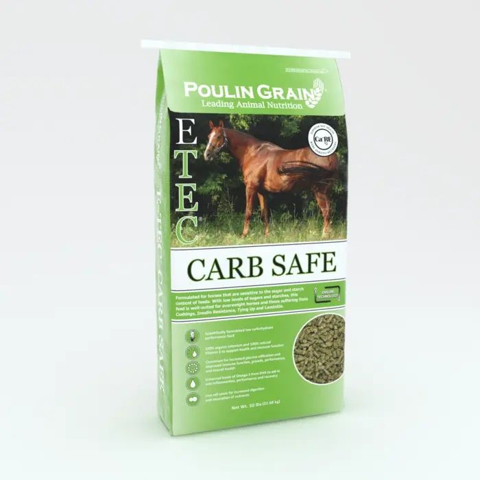 E-TEC Carb SafeV2.webp