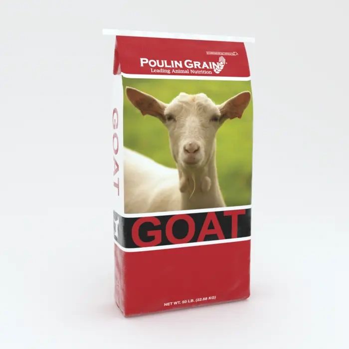 Goat Bag.webp