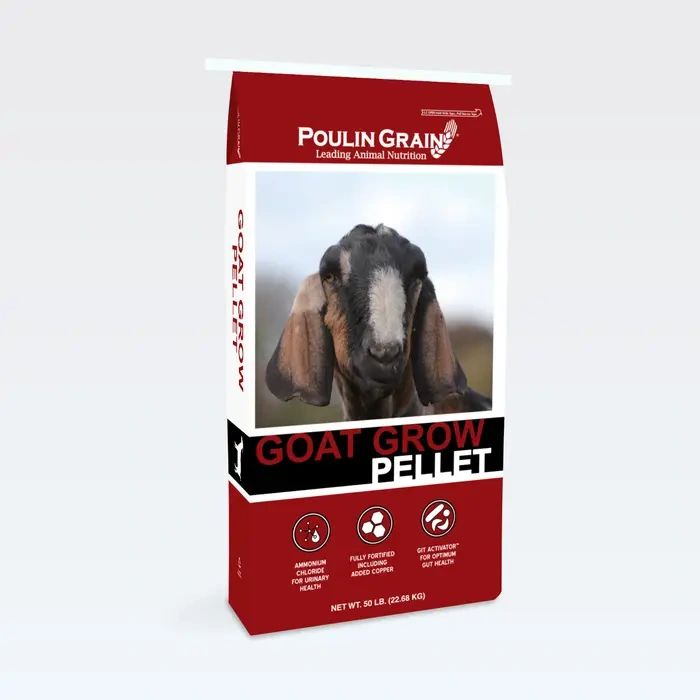 Goat Grow Opaque.webp