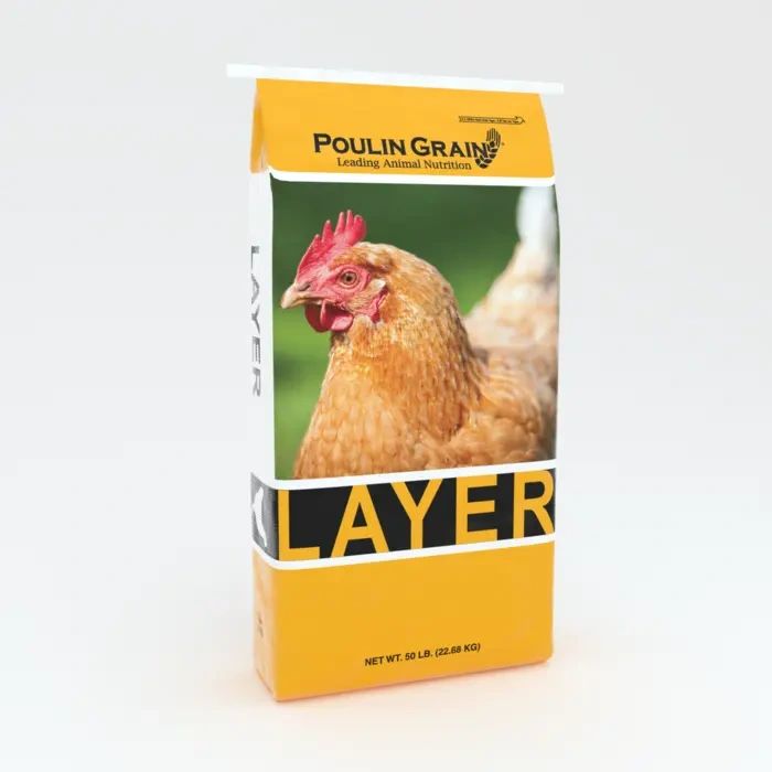 Layer Generic.webp